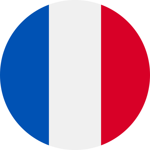 France Flag